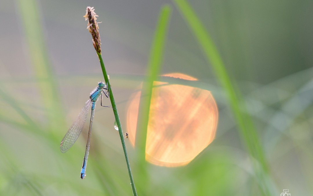 Macro workshop